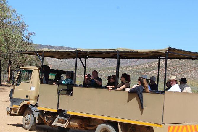 Visit African Big 5 Safari Aquila Game Reserve from Cape Town - full Day - Who this Big Five safari fits best