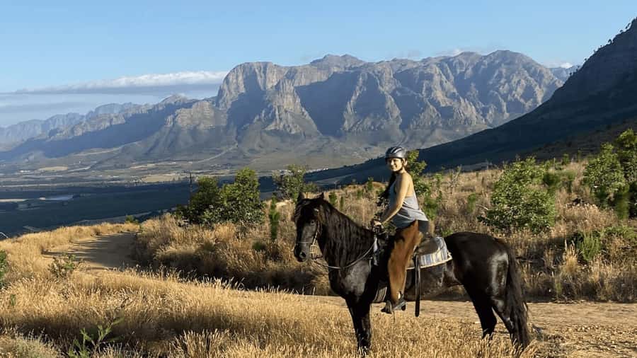 Vrede en Lust Wine Estate:1-Hour Horseback Riding Experience - Key takeaways before you book