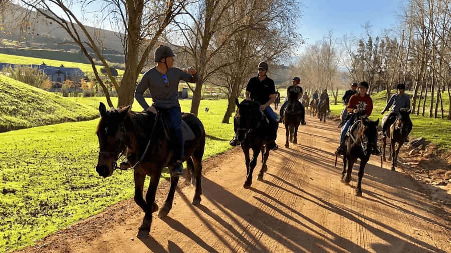 Vrede en Lust Wine Estate:1-Hour Horseback Riding Experience - Vrede en Lust in one hour: the feeling you want on a trail