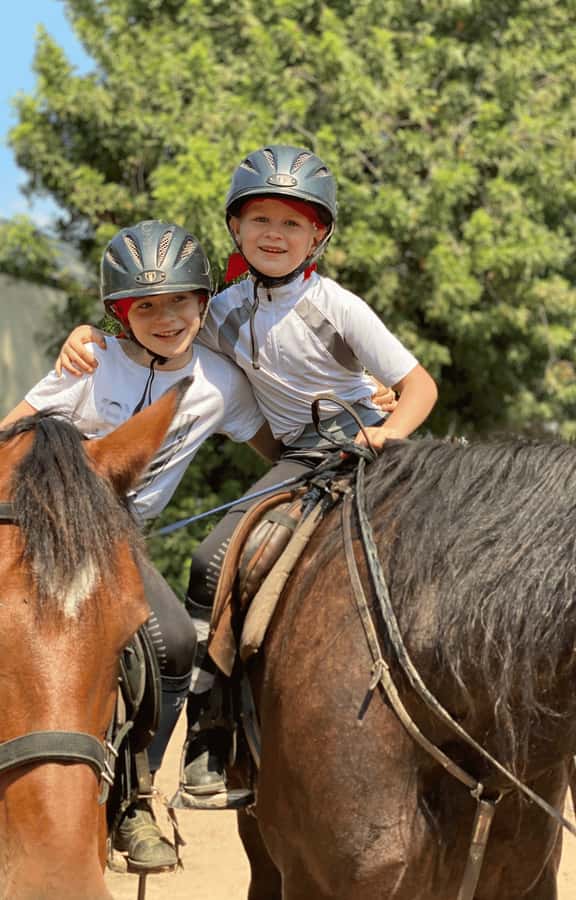Vrede en Lust Wine Estate:1-Hour Horseback Riding Experience - Meet your horse: the part that makes beginners relax