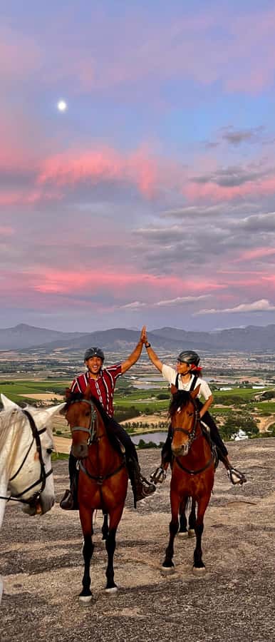 Vrede en Lust Wine Estate:1-Hour Horseback Riding Experience - Safety on the trail: what the guide actually does for you