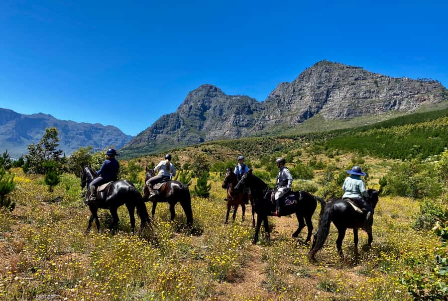 Vrede en Lust Wine Estate:1-Hour Horseback Riding Experience - What the 1-hour itinerary looks like, from arrival to goodbye