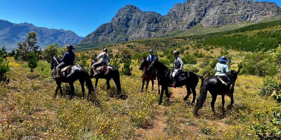 Vrede en Lust Wine Estate:1-Hour Horseback Riding Experience - The views: Simonsberg foothills and wine-estate paths