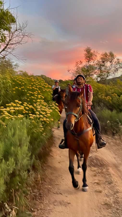Vrede en Lust Wine Estate:1-Hour Horseback Riding Experience - What to bring, what to avoid, and how to stay comfortable