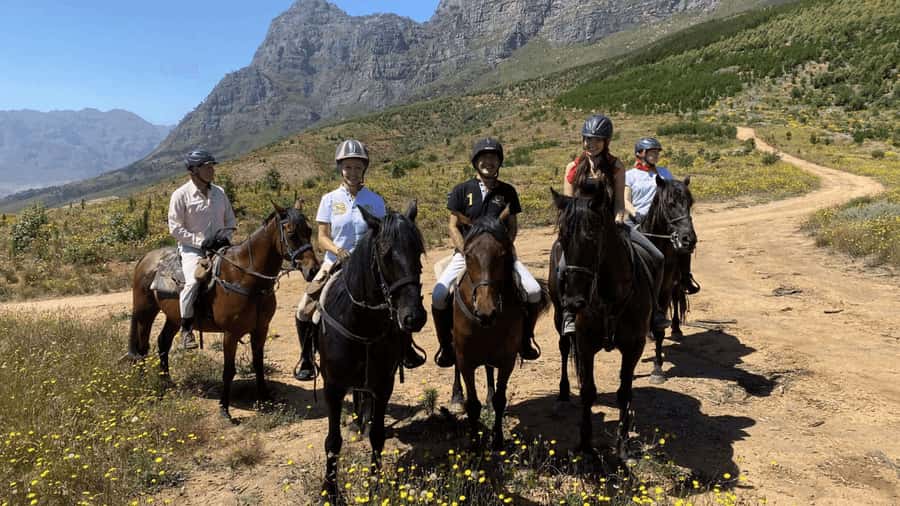 Vrede en Lust Wine Estate:1-Hour Horseback Riding Experience - Timing and roadworks: how to avoid losing ride minutes