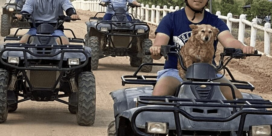 Vrede en Lust Wine Estate: 1H Quad Bike Trail - What to bring for a comfier, better ride