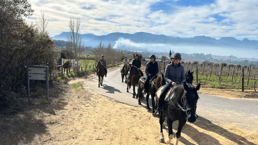 Vrede en Lust Wine Estate: 2H Horse Trail - Key things I’d plan around