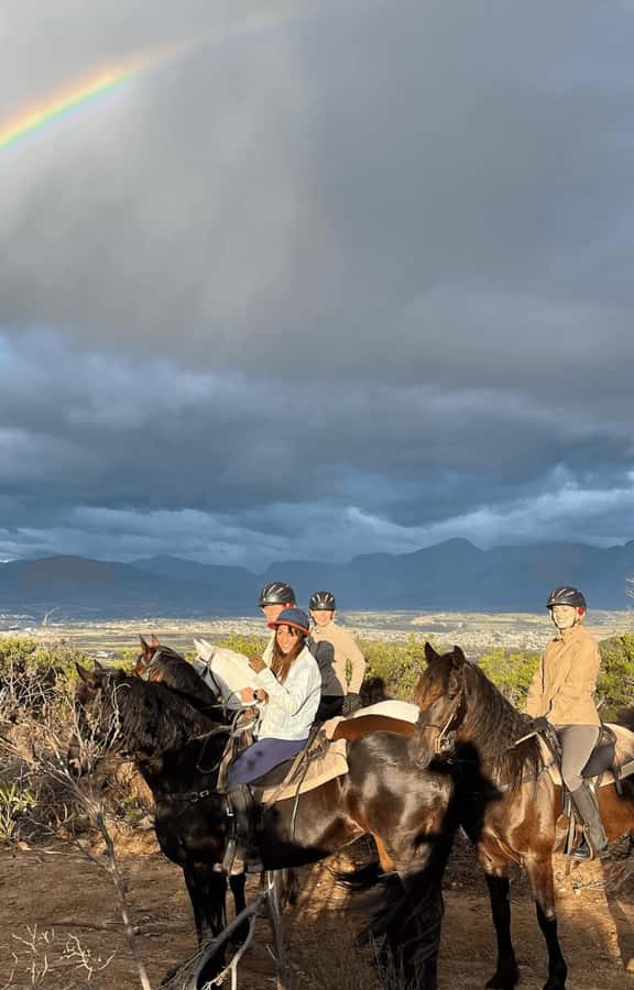 Vrede en Lust Wine Estate: 2H Horse Trail - Who This Horse Trail Suits Best (And Who Should Skip It)