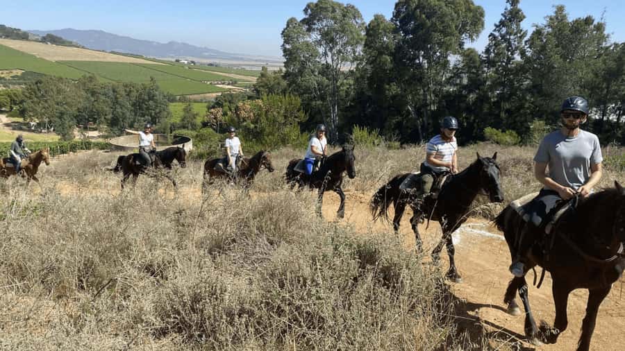 Vrede en Lust Wine Estate: 2H Horse Trail - Settling In at Vrede en Lust, Franschhoek’s Horse-Ride Corner