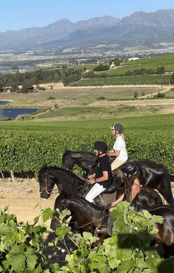 Vrede en Lust Wine Estate: 2H Horse Trail - Safety Rules That Affect How You Pack