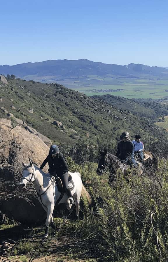 Vrede en Lust Wine Estate: 2H Horse Trail - The Ride Itself: Vineyards, Then Lower Mountain Reaches