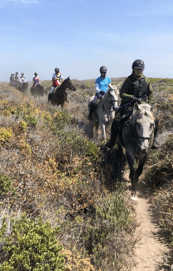 Vrede en Lust Wine Estate: 2H Horse Trail - How Weather and Timing Can Affect Your Day