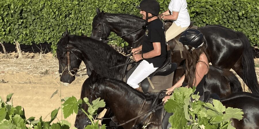 Vrede en Lust Wine Estate: 2H Horse Trail - What You Get After the Ride at Lust Bistro & Bakery