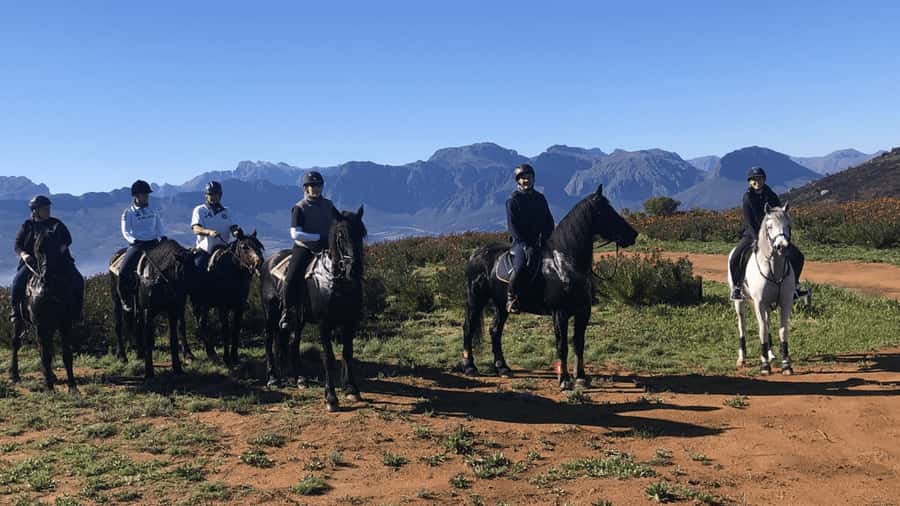 Vrede en Lust Wine Estate: 2H Horse Trail - Meeting Your Guide and Getting Matched With a Horse