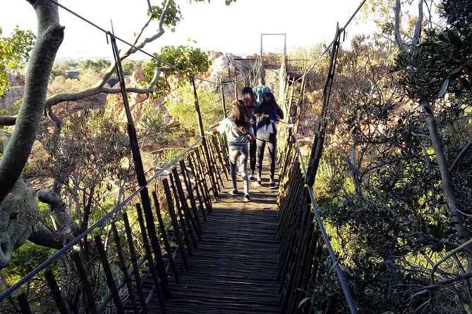 Walk with Elephants Experience plus Monkey Forest Walk - Elephant walk: learning sounds, eating habits, and elephant personalities