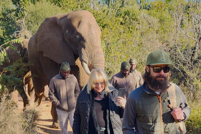 Walk with Elephants Experience plus Monkey Forest Walk - Price and value: is $343.42 per person worth it?