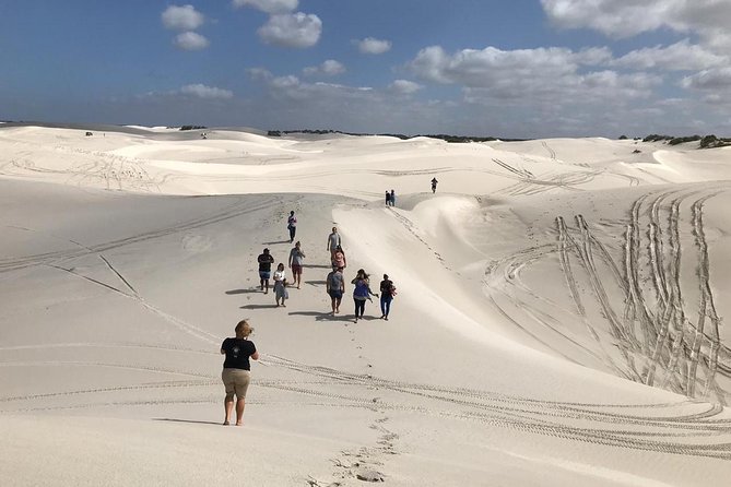 West Coast Day Trip from Cape Town - Key things to know before you go