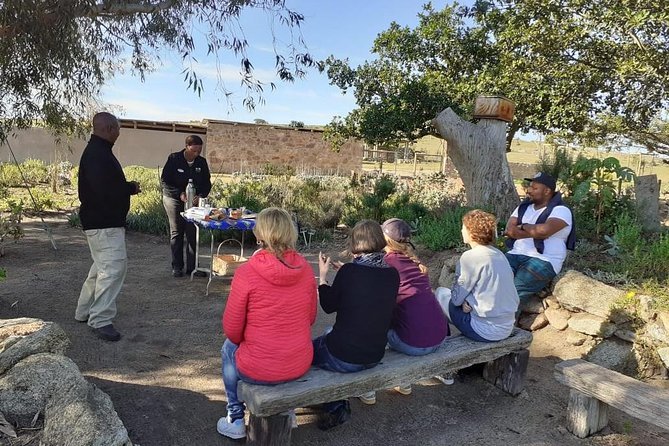 West Coast Day Trip from Cape Town - Lunch, tea tasting, and how to plan your comfort