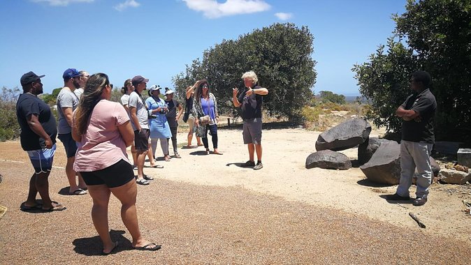 West Coast Day Trip from Cape Town - Should you book this West Coast day trip?