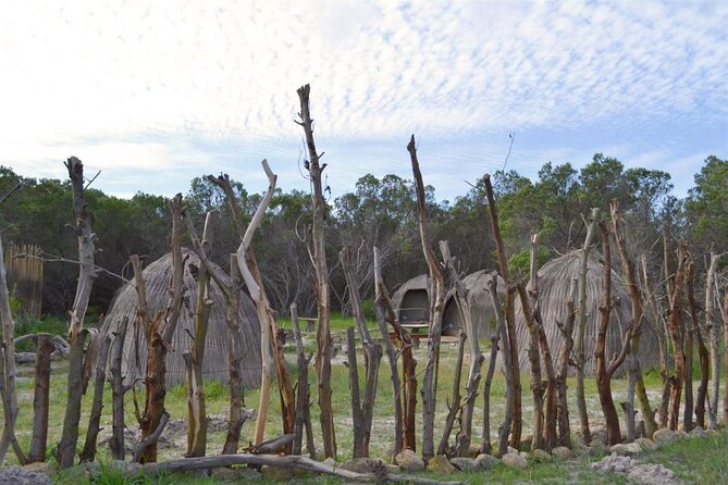 West Coast Safari and Khoi San village COMBO - PRIVATE TOUR - Key highlights you will feel right away