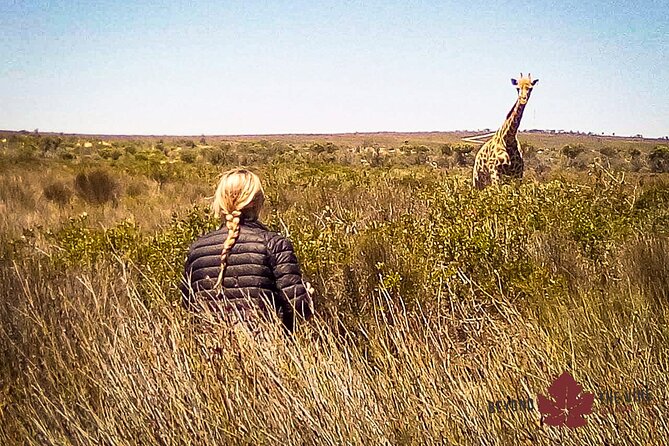 West Coast Safari and Khoi San village COMBO - PRIVATE TOUR - Price and value: why $219.30 can work for your Cape Town schedule