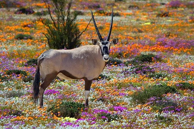 West Coast Wonders Full Day Tour with Private Transfer - Key things that make this tour worth your time