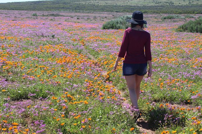 West Coast Wonders Full Day Tour with Private Transfer - West Coast National Park: choose Bakoor trail or Geelbek beach walk