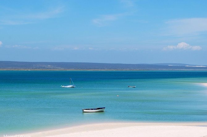 West Coast Wonders Full Day Tour with Private Transfer - Langebaan lunch choices: Geelbek restaurant or Pearly’s on the beach