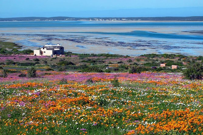 West Coast Wonders Full Day Tour with Private Transfer - Price and value: $247.13 per person for a private day
