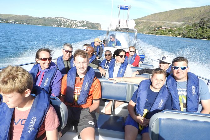 Whale Watching Knysna - Close Encounter Experience Ocean Odyssey - The wildlife search: dolphins, Bryde’s, southern right, and humpback