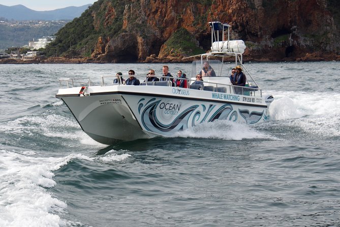 Whale Watching Knysna - Close Encounter Experience Ocean Odyssey - Who this Knysna whale watching trip suits best