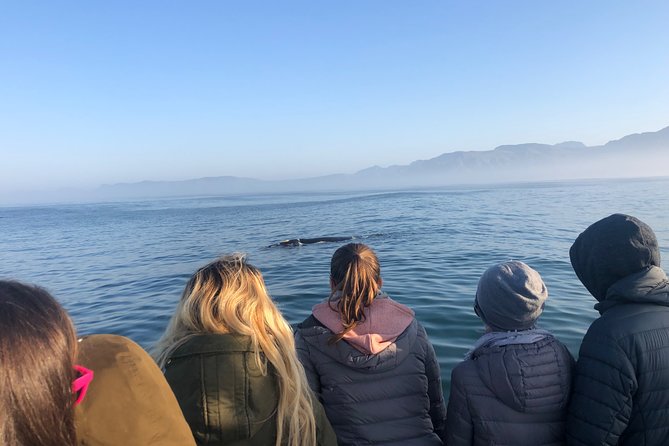 Whale Watching Tour in Hermanus with Hotel Pickup - Private Hermanus Whale Watching, Done with Pickup and Real Guidance