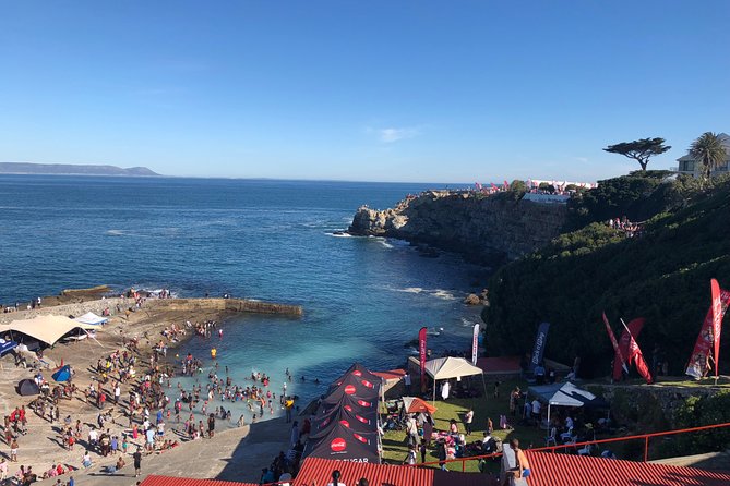 Whale Watching Tour in Hermanus with Hotel Pickup - On the Water in Hermanus: What “Up-Close” Really Means for You