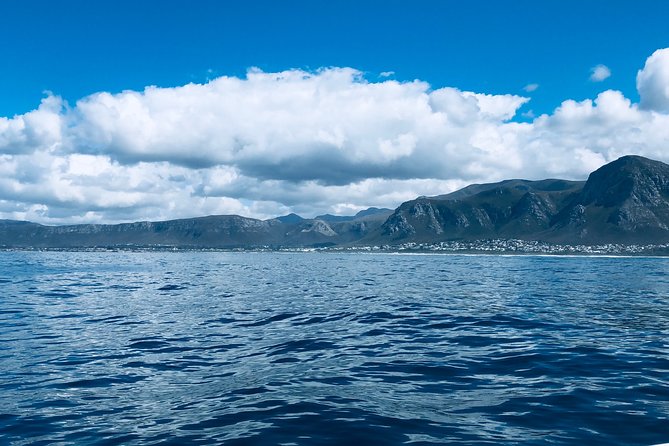 Whale Watching Tour in Hermanus with Hotel Pickup - Why This Private Setup Feels Worth It