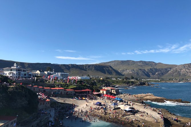 Whale Watching Tour in Hermanus with Hotel Pickup - Pacing, Seasickness, and What to Pack (So You Enjoy the Day)