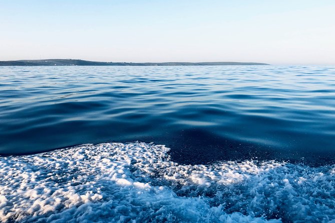 Whale Watching Tour in Hermanus with Hotel Pickup - Who Should Book This Hermanus Whale Watching Tour