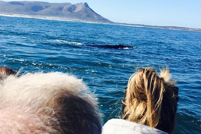 Whale Watching Tour in Hermanus with Hotel Pickup - Hermanus Time: Town Walk, Photos, and Optional Lunch