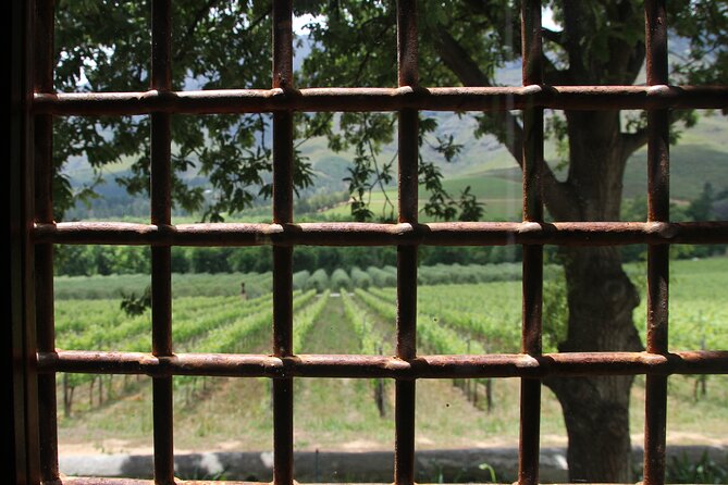 Wijntoer - Reserve tour with a winemaker! - Rust en Vrede’s winemakers lunch stop, with two meal options