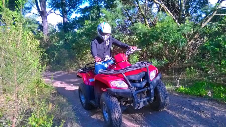 WILDERNESS GARDEN ROUTE QUAD BIKE FUN RIDE - The Trail: Trees, Bushes, and Concentration Speed Balance