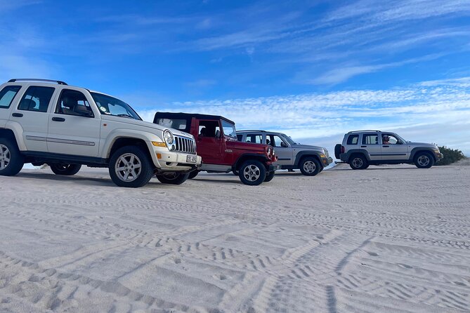 WildX Adventures Jeep 4x4 White Sand Dunes in Cape Town Atlantis - Witzands Aquifer Nature Reserve: The Spot You’ll Actually Want to Find