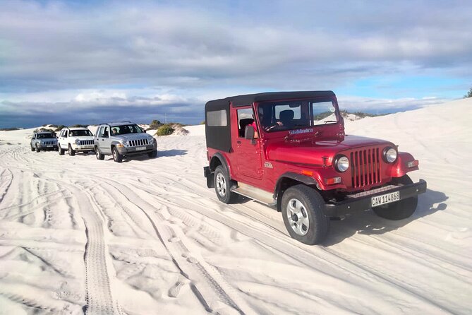 WildX Adventures Jeep 4x4 White Sand Dunes in Cape Town Atlantis - Timing, Weather, and When to Book in Cape Town