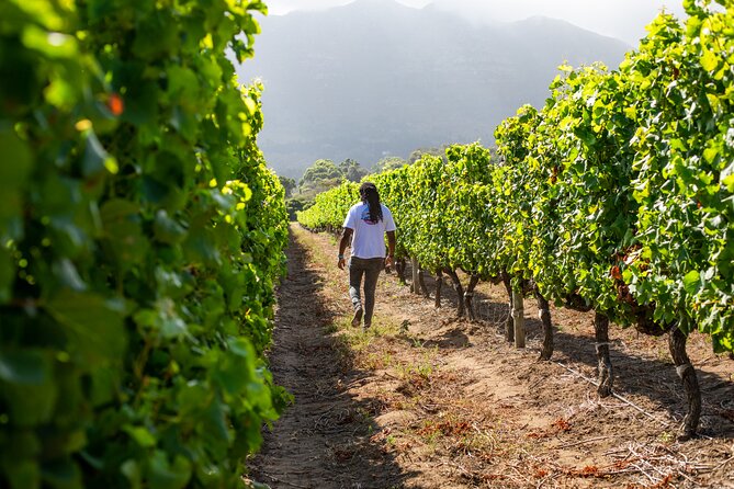 Wine Beer and Biltong Safari - Stellenbosch - The Braai Break: Lunch, Hangout, and a Real Taste of the Day