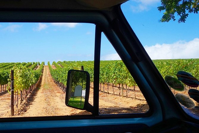 Wine Beer and Biltong Safari - Stellenbosch - Small-Group Guiding, Including Vaughn: How the Day Stays Organized