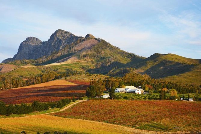 Wine Beer and Biltong Safari - Stellenbosch - Craft Beer: Two Micro Brewery Tours and Tastings That Stay Fun