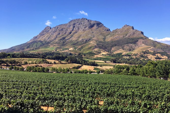 Wine tasting - Boutique farms - Getting picked up for Stellenbosch wine tasting (and why it matters)