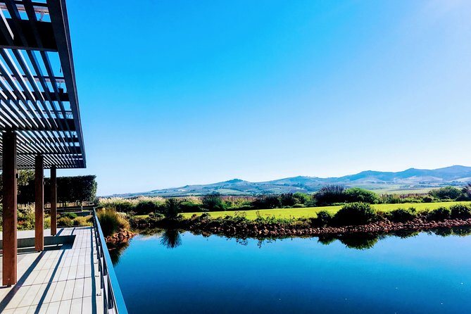 Wine tasting - Boutique farms - Food pairings and the pacing that makes it feel like a treat