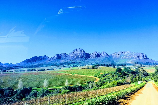 Wine tasting - Boutique farms - Weather, time, and the small details that can affect your day