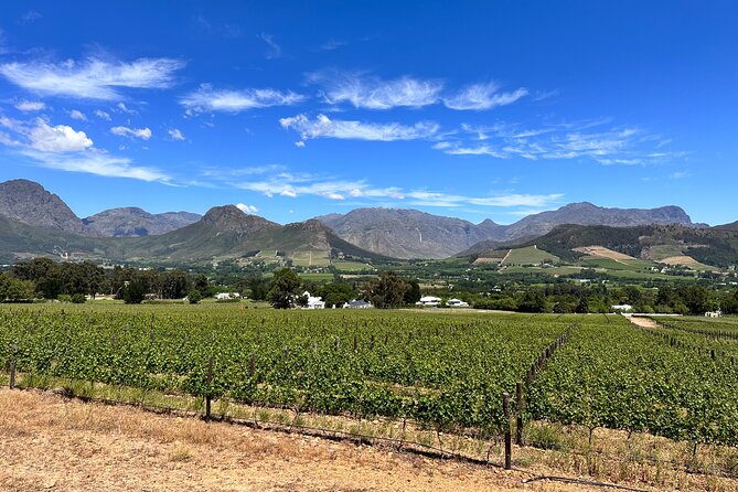 Wine Tasting in Cape's Top Three Winelands Private Tour - Haute Cabrière and Pierre Jourdan Cap Classique: why this stop is a smart choice