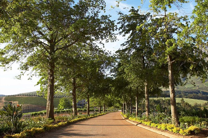 Wine Tasting Private Tour in Cape Winelands - Price and value: what $120 really covers