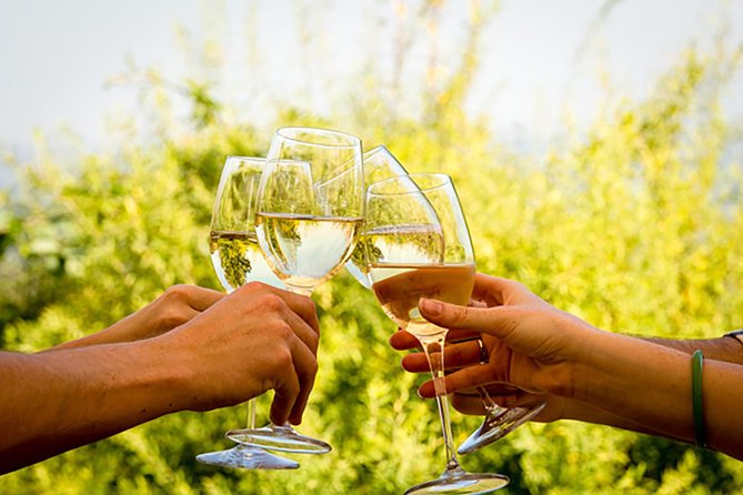 Wine Tour: Paarl, Franschhoek & Stellenbosch incl 3 wineries - Why this Cape Winelands day trip feels like smart value